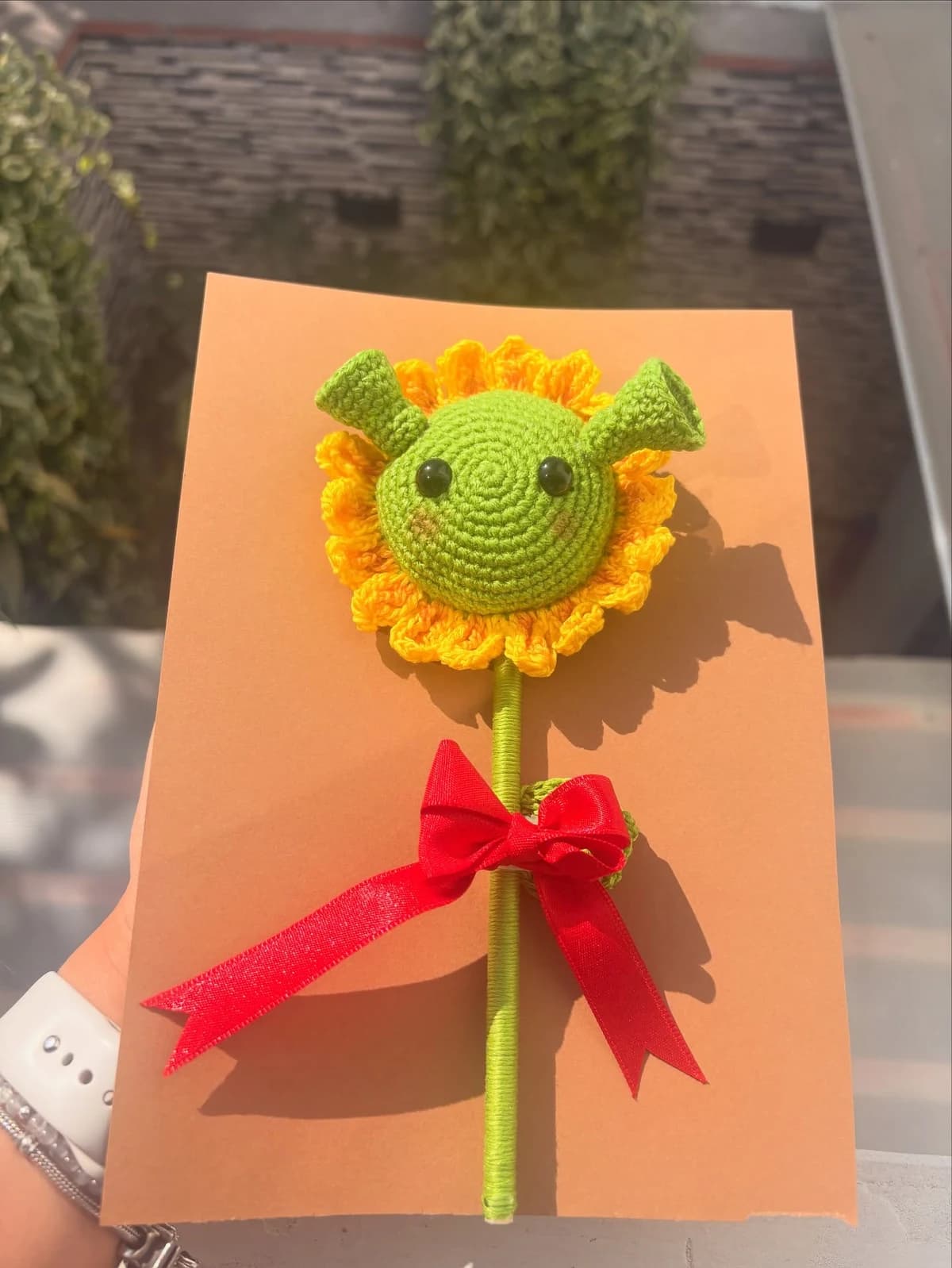 Girasol de Shrek — foto 1