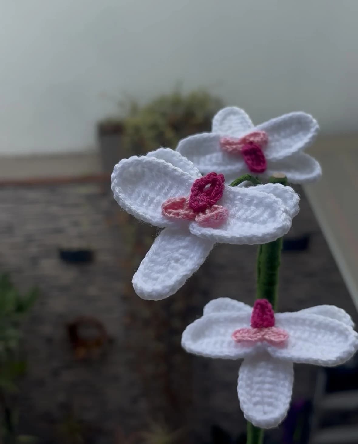 Arreglo de orquídeas — foto 1